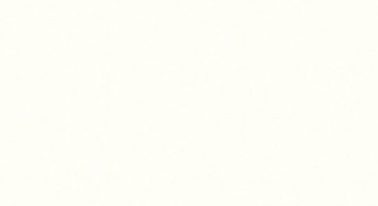 Greitaeigių vartų spalva RAL 9010